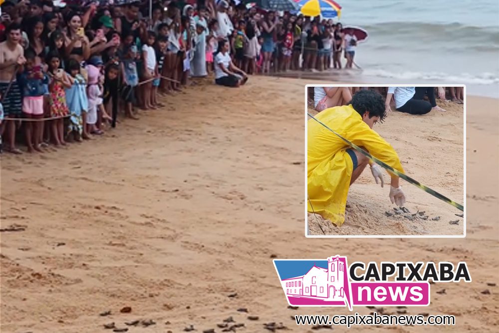 Anchieta: abertura de ninhos de tartarugas atrai centena de pessoas Anchieta: abertura de ninhos de tartarugas atrai centena de pessoas