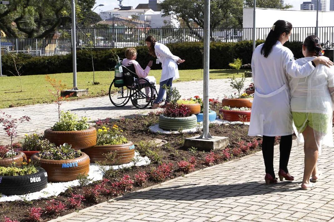 Deputado sugere jardins terapêuticos em hospitais – ALES Deputado propõe jardins terapêuticos em hospitais