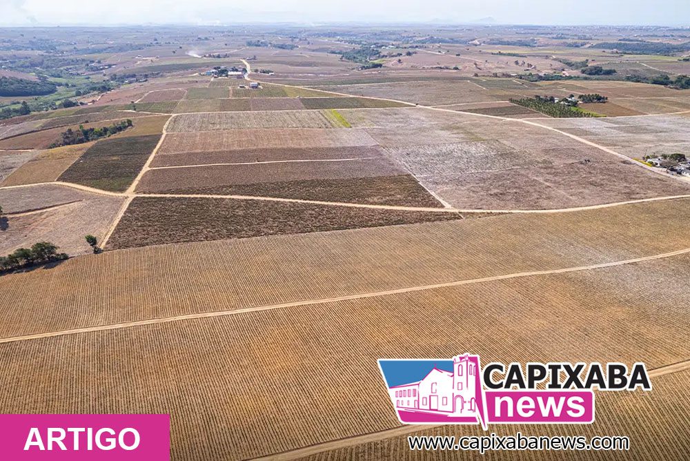 Aos agricultores de Marataízes e Itapemirim: mais uma seca sem respostas? Aos agricultores de Marataízes e Itapemirim: mais uma seca sem respostas?