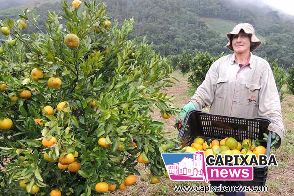 Agricultura inicia reuniões com comunidades rurais e associações Agricultura inicia reuniões com comunidades rurais e associações