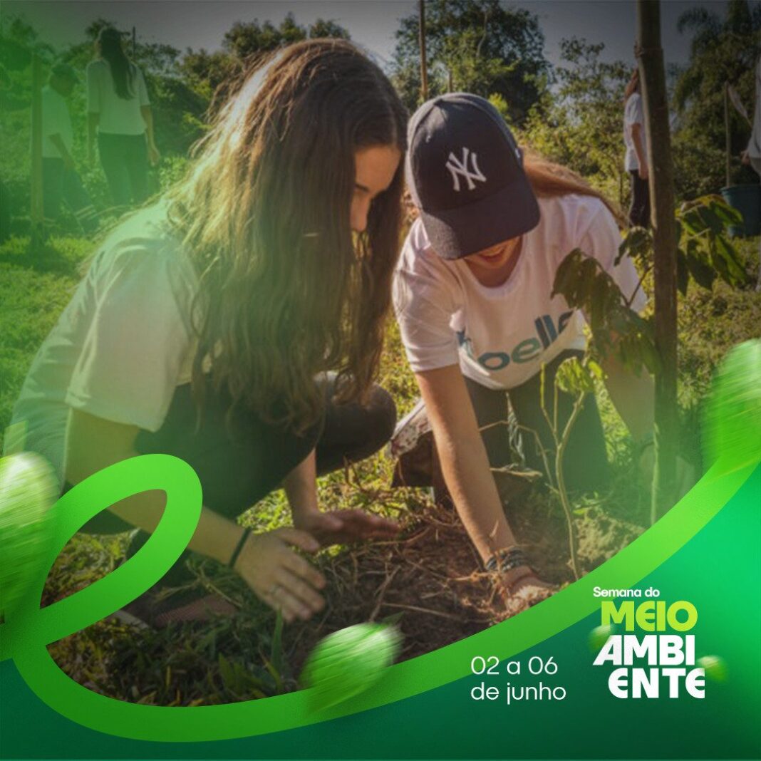 Presidente Kennedy promove Semana do Meio Ambiente com atividades educativas Presidente Kennedy promove Semana do Meio Ambiente com atividades educativas