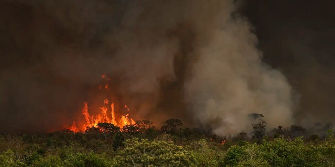 Desmatamento na Amazônia sobe 92% em maio devido a queimadas Queimadas fazem desmatamento crescer 92% na Amazônia em maio