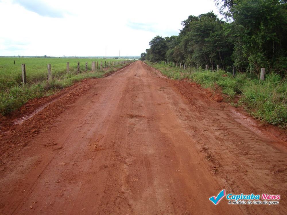 Bandidos atravessam árvore na estrada para tentar assaltar casal Bandidos atravessam árvore na estrada para tentar assaltar casal