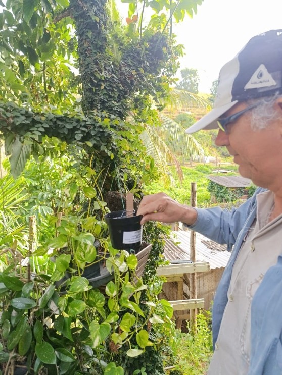 Estudo em Anchieta mapeia presença do mosquito da dengue nas comunidades rurais Notícia Estudo vai ajudar a mapear presença do mosquito da dengue em Anchieta - Prefeitura Municipal de Anchieta