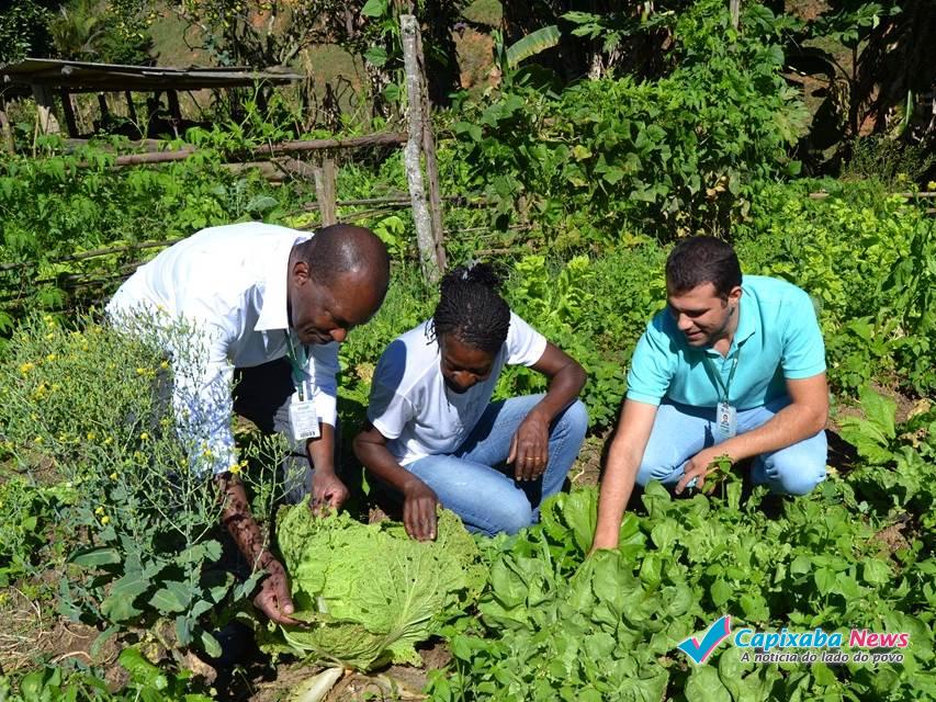 Incaper amplia atendimentos a agricultores familiares em situação de extrema pobreza Incaper amplia atendimentos a agricultores familiares em situação de extrema pobreza