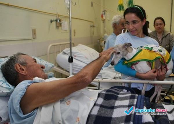 Projeto permite entrada de pets para visita em hospital Projeto permite entrada de pets para visita em hospital