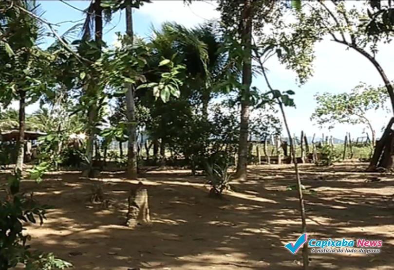 Sítio é invadido por homens armados e idosas são feitas reféns na Serra Sítio é invadido por homens armados e idosas são feitas reféns na Serra