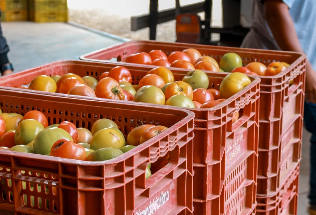 Banco de Alimentos de Cachoeiro coleta doações de agricultores da região serrana Banco de Alimentos de Cachoeiro fortalece parcerias com produtores rurais da região serrana - Prefeitura de Cachoeiro de Itapemirim