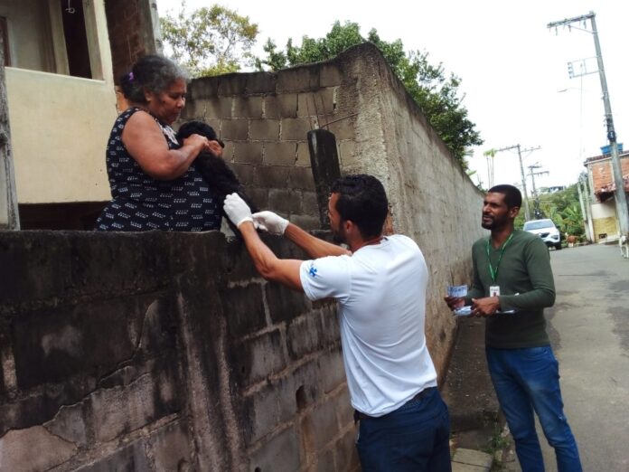 Notícia Anchieta segue vacinando cães e gatos contra a raiva, de casa em casa - Prefeitura Municipal de Anchieta