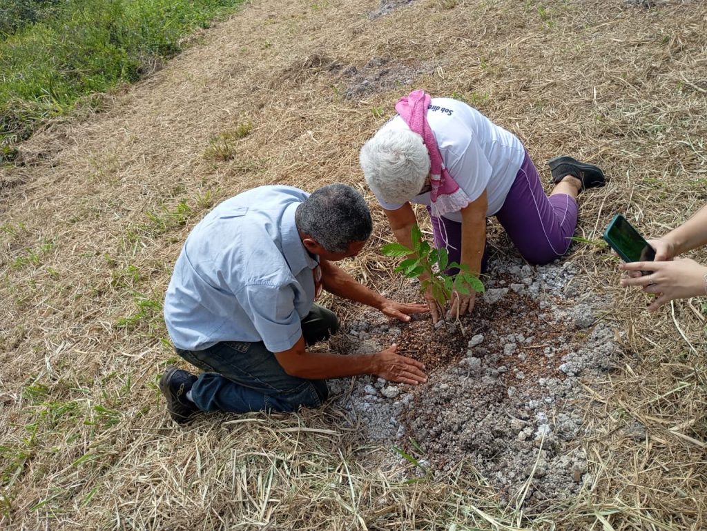 Grupo Vida Ativa de Cachoeiro celebra Dia da Árvore com plantio e educação ambiental Idosos do Grupo Vida Ativa celebram o Dia da Árvore na Flona de Pacotuba - Prefeitura de Cachoeiro de Itapemirim