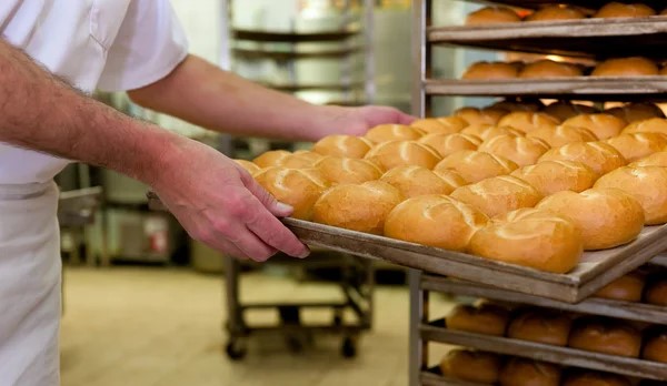 Qualidade à mesa: classificação das padarias reforça segurança alimentar em Cachoeiro - Prefeitura de Cachoeiro de Itapemirim