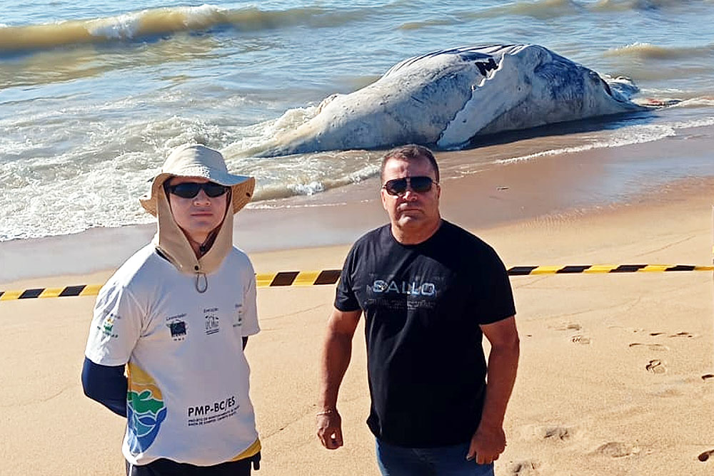 Marataízes: Secretário de Meio Ambiente monitora caso e aguarda laudo sobre causa da morte de baleia Marataízes: Secretário de Meio Ambiente monitora caso e aguarda laudo sobre causa da morte de baleia