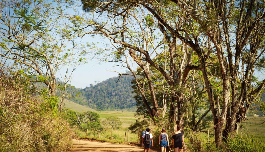 Prefeitura de Cachoeiro realiza oficinas sobre Desenvolvimento Rural Sustentável Cachoeiro realiza oficina sobre crédito rural e diversificação agrícola nesta quinta (9) - Prefeitura de Cachoeiro de Itapemirim