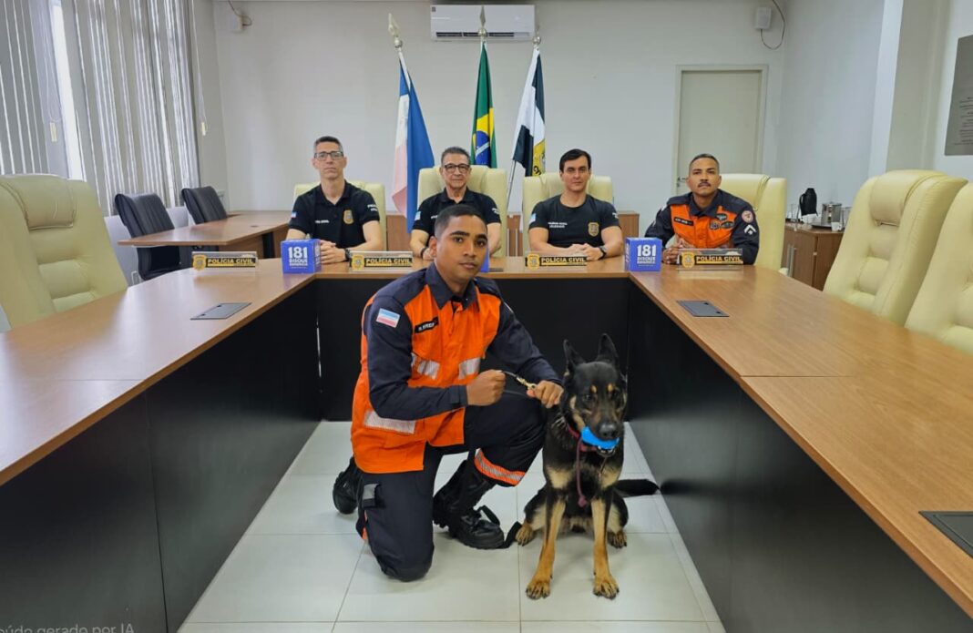 <p><strong>Polícia Civil do ES prende sete suspeitos em investigação de homicídio na Serra</strong></p> <p><strong>Polícia Civil do ES prende sete suspeitos em investigação de homicídio na Serra</strong></p>