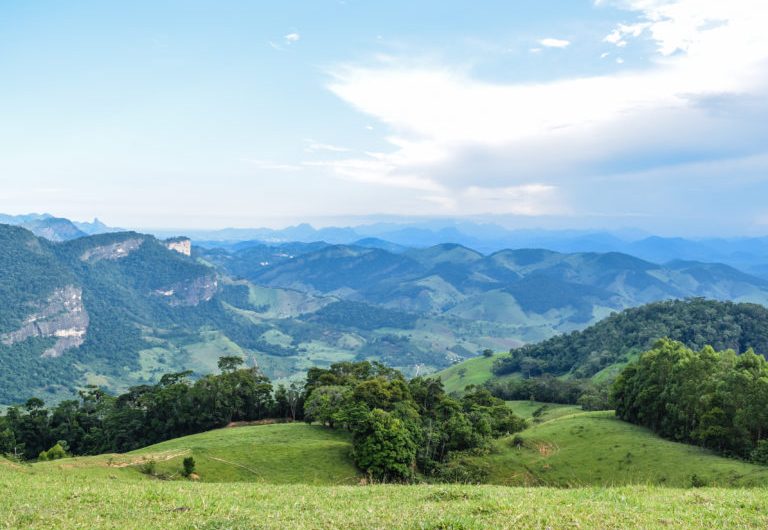 Feira Verde fortalece ações ambientais e de desenvolvimento sustentável em Cachoeiro - Prefeitura de Cachoeiro de Itapemirim