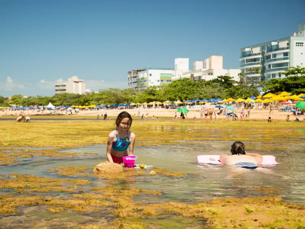 Projeto ‘Anjos da Praia’ retorna a Anchieta para segurança no verão 2025 Notícia Projeto “Anjos da Praia” de volta para ajudar na segurança e orientação durante o verão de Anchieta - Prefeitura Municipal de Anchieta