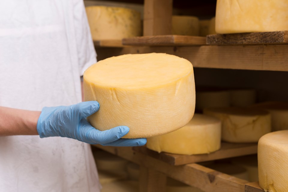 Dia do Queijo valoriza a produção artesanal e o apoio do Governo do ES Dia do Queijo valoriza a produção artesanal e o apoio do Governo do ES