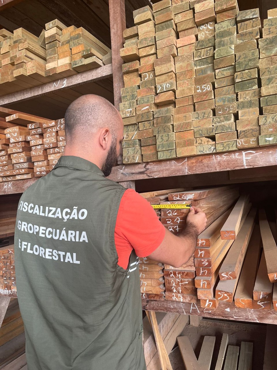 Renovação do Registro de Atividade Florestal no ES até 31 de março Renovação do Registro de Atividade Florestal no ES até 31 de março