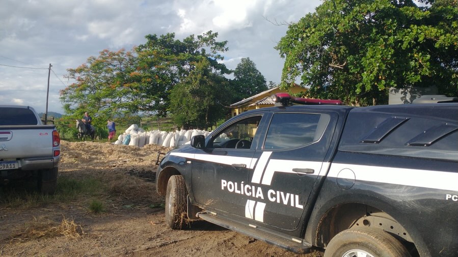 Polícia Civil recupera 24 cabeças de gado furtadas em Jerônimo Monteiro Polícia Civil recupera 24 cabeças de gado furtadas em Jerônimo Monteiro