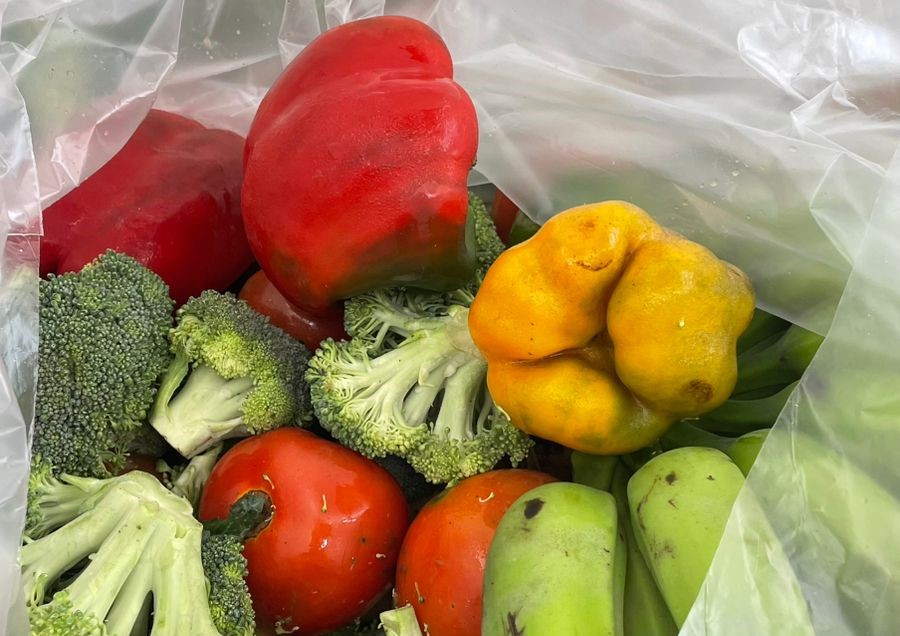 Banco de Alimentos de Cachoeiro garante segurança alimentar com Programa Cesta Verde Banco de Alimentos fortalece ações de combate à insegurança alimentar em Cachoeiro - Prefeitura de Cachoeiro de Itapemirim