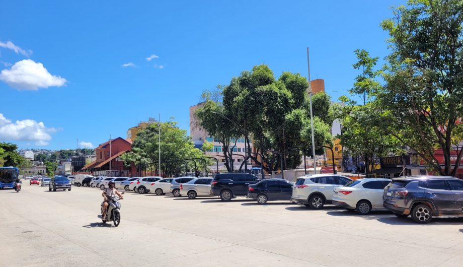 Venda de palmitos para a Semana Santa será realizada em Semana Santa: venda de palmitos na Linha Vermelha começa na segunda (30) - Prefeitura de Cachoeiro de Itapemirim