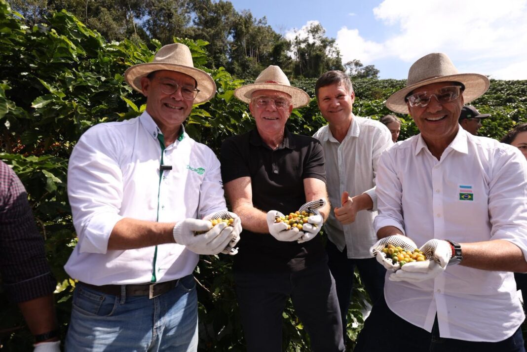 Governo do ES inaugura colheita do café arábica em Iúna, Caparaó Governo do ES inaugura colheita do café arábica em Iúna, Caparaó