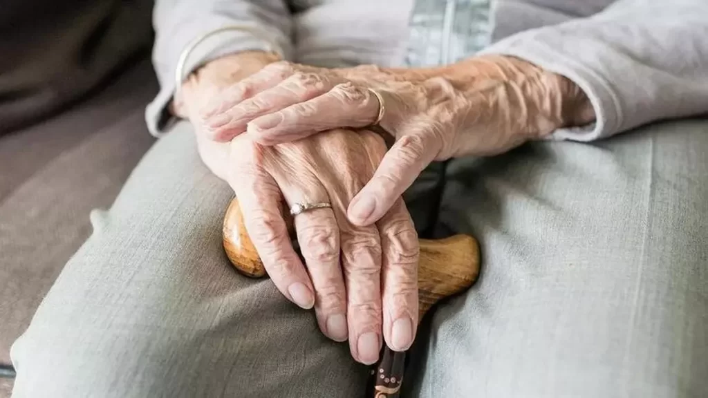 Caminhada do Junho Violeta em Cachoeiro promove conscientização sobre idosos Cachoeiro realiza Caminhada do Junho Violeta em defesa dos direitos da pessoa idosa - Prefeitura de Cachoeiro de Itapemirim
