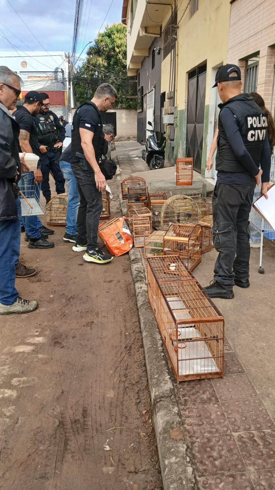 <p><strong>Polícia Civil realiza operação contra tráfico de aves em Vila Velha e apreende 22</strong></p> <p><strong>Polícia Civil realiza operação contra tráfico de aves em Vila Velha e apreende 22</strong></p>