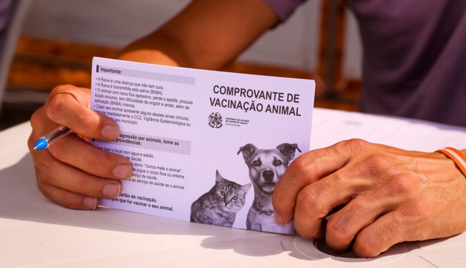 Cachoeiro realiza vacinação antirrábica para cães e gatos neste sábado, 29 de agosto Cachoeiro realiza Campanha de Vacinação Antirrábica nos distritos neste sábado (29) - Prefeitura de Cachoeiro de Itapemirim