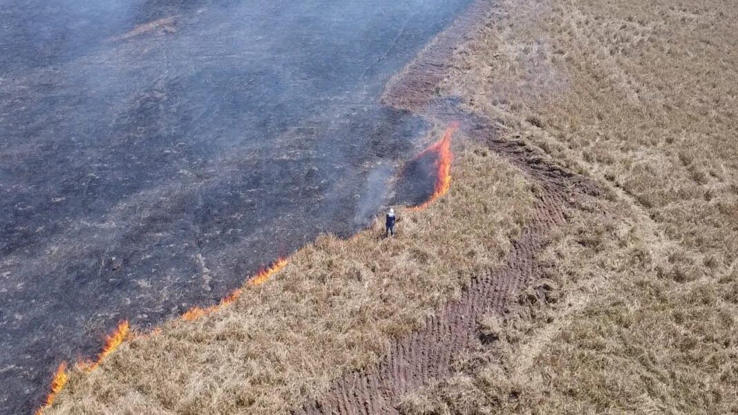 Defesa Civil de Marataízes atua em incêndio em área de Defesa Civil de Marataízes combate foco de incêndio em área de preservação permanente