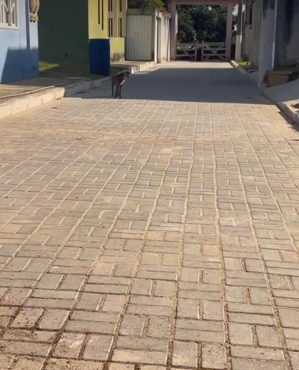 Pavimentação avança no bairro Mãe-Bá em Anchieta com novas obras de infraestrutura Notícia Pavimentação de ruas avança em Mãe-Bá - Prefeitura Municipal de Anchieta