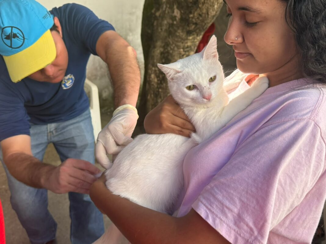 Vacinação antirrábica em Marataízes acontece no 2º Dia D Vem aí o 2º Dia D da vacinação antirrábica em Marataízes